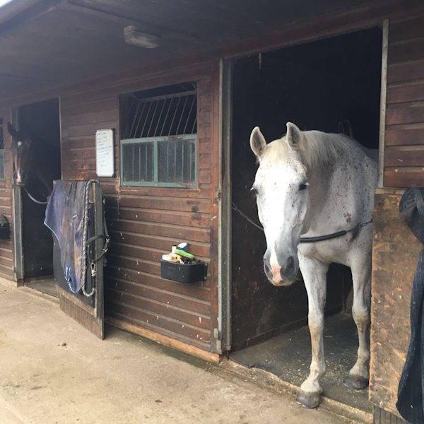 livery_stable